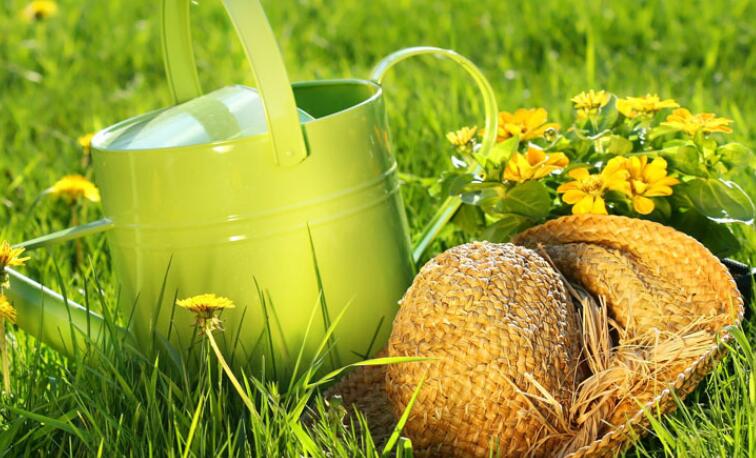 夏天的好词好句文案大全