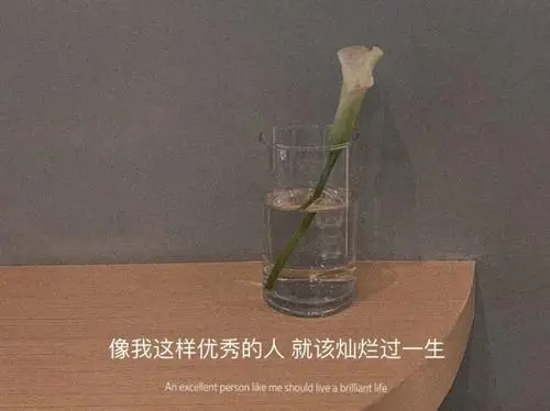 甜到爆炸小仙女文案