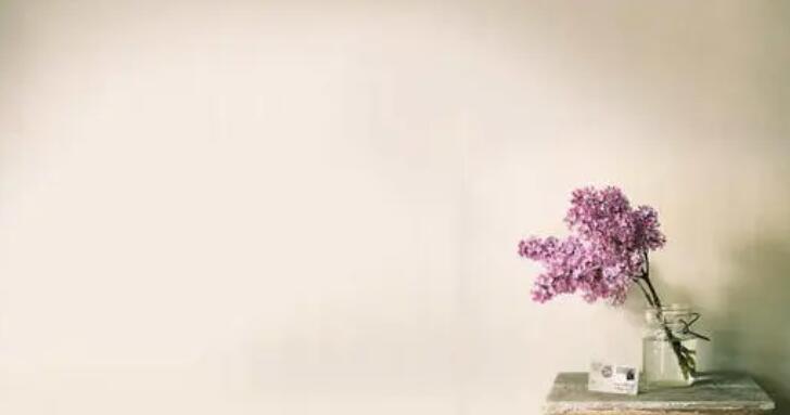 介绍学校的句子文案简短