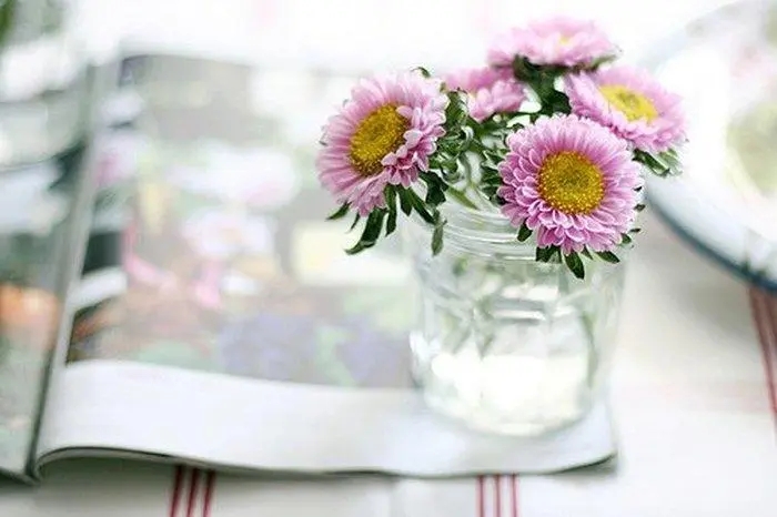 愿生活如花般灿烂句子文案