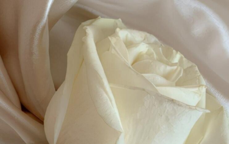 关于梦想的文案