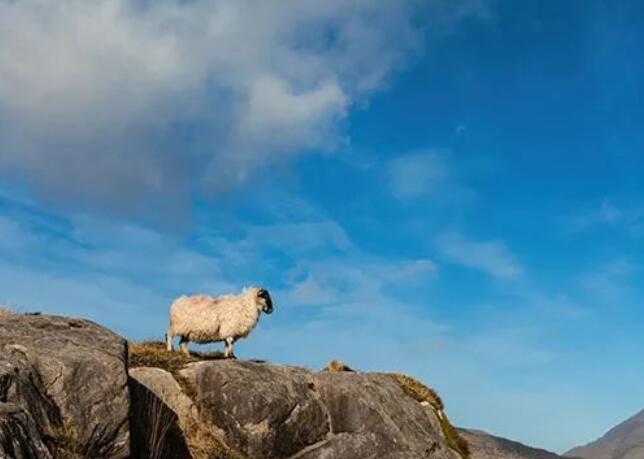 幽默唯美短句子文案