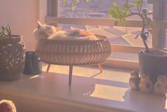 放弃朋友的句子文案