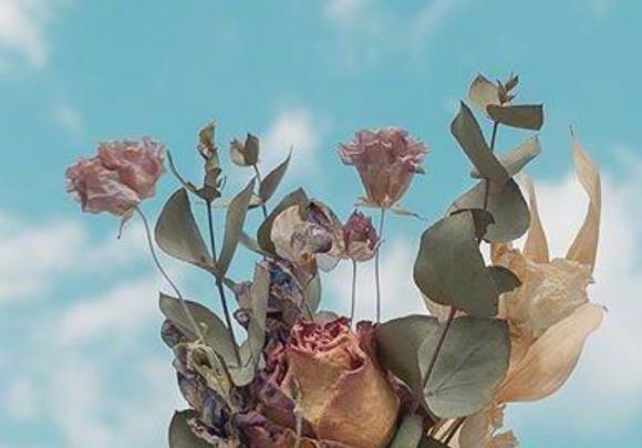 努力正能量的语录文案