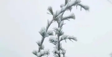 三月下雪的唯美句子文案