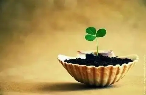 讽刺太把自己当回事的句子文案