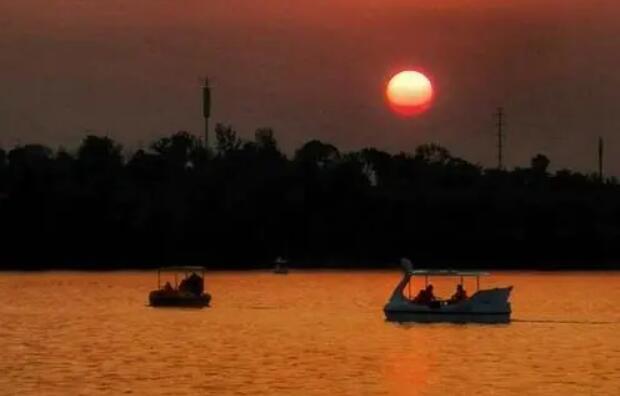 掌中之物最催泪的句子文案