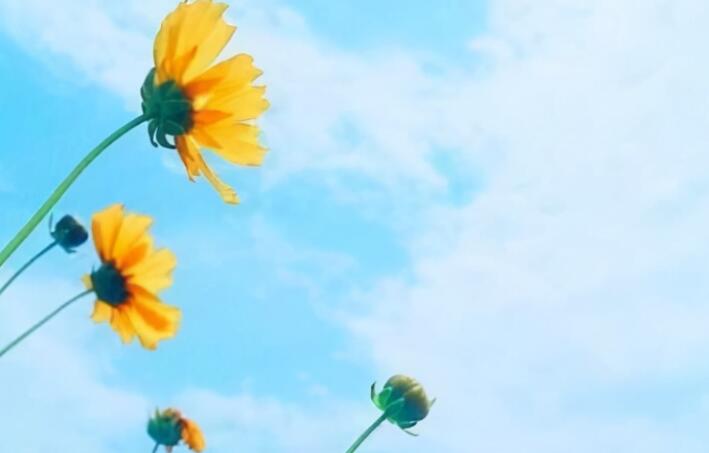 励志语录文案经典词语