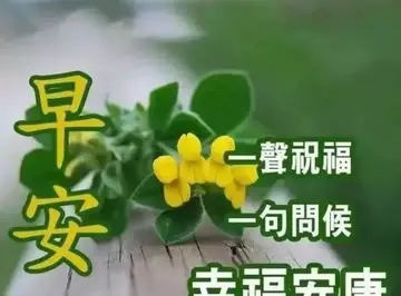 老年朋友之间早安简单祝福语