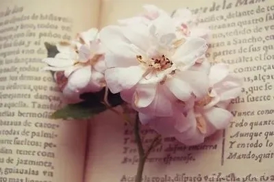 初三毕业家长发圈说说文案