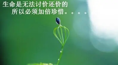 失去小生命的痛苦句子文案