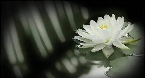 对去世外公的思念说说文案