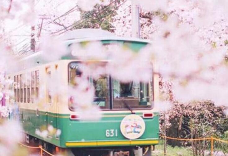 春天的爱情语录文案