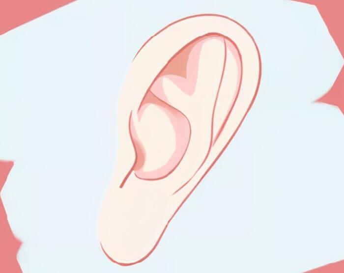 描写耳朵的一段话