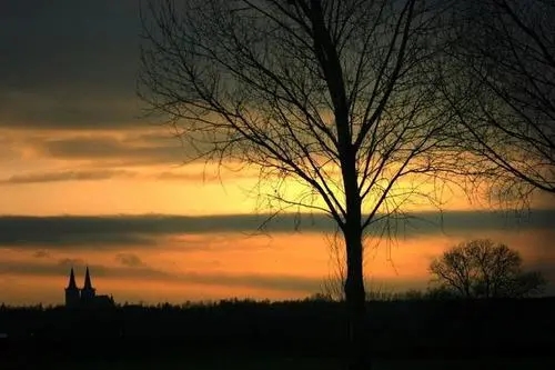 在小树林玩的心情说说文案