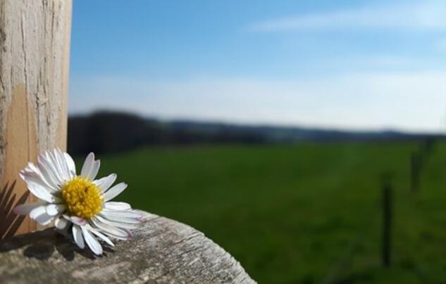 个性签名深奥难懂短句