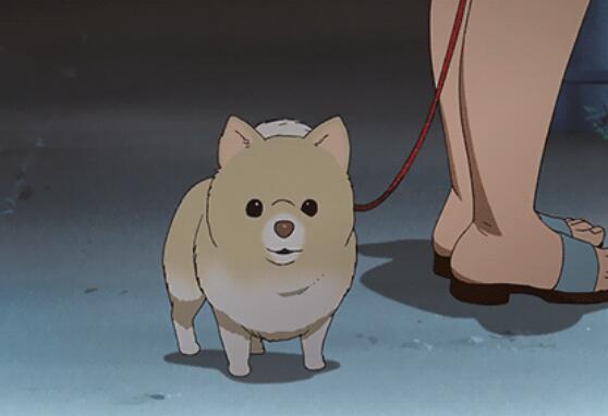 简短而经典的英语句子文案