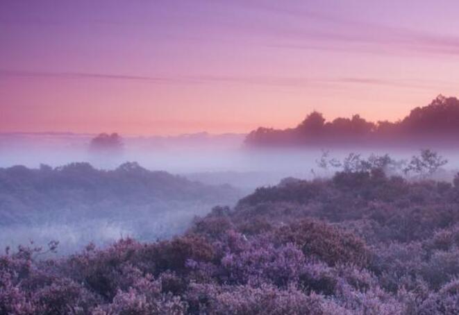 唯有不可辜负原句子文案
