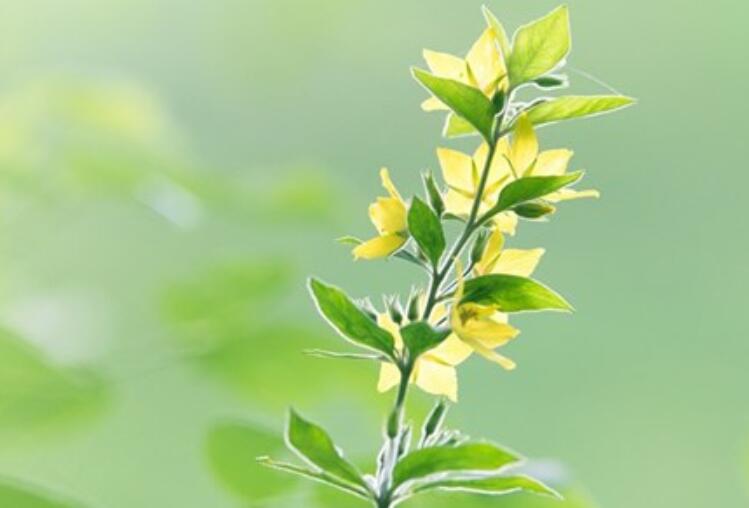 哭了发伤感的句子文案