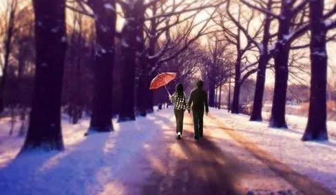 关于亲情和爱情的句子文案