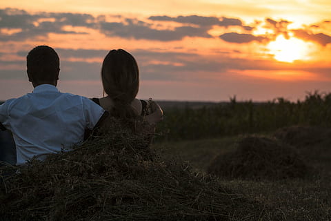 d开头的唯美英文句子文案