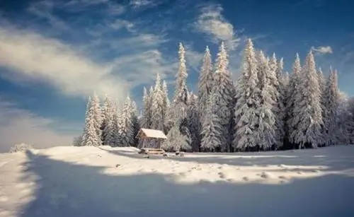 冬天的句子文案