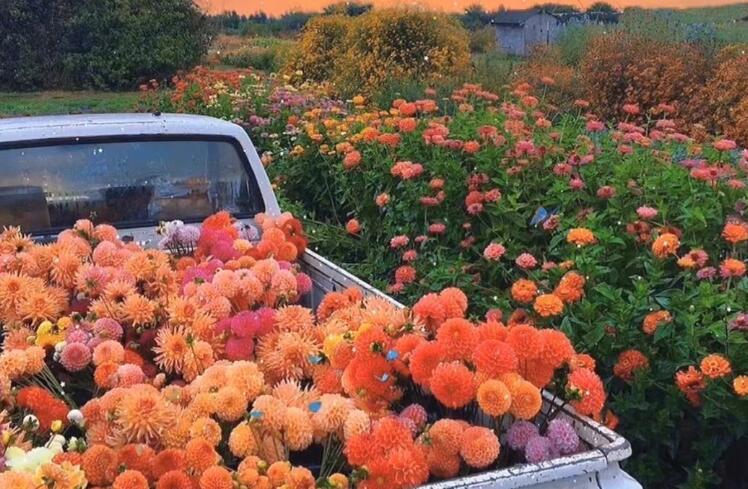 描写云的文艺小短句