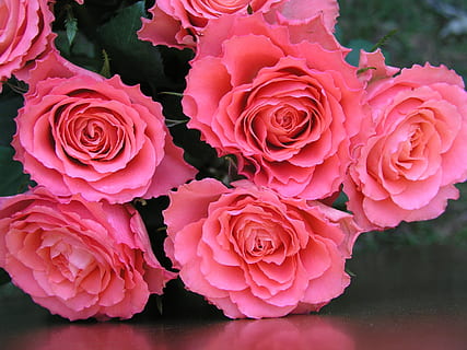 珍惜对你好的人的短句