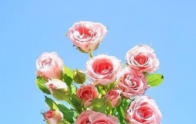 充满阳光的早安心语