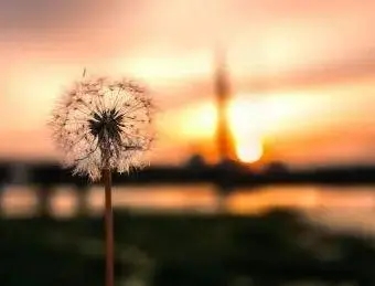 你是我永远抹不去的回忆句子文案