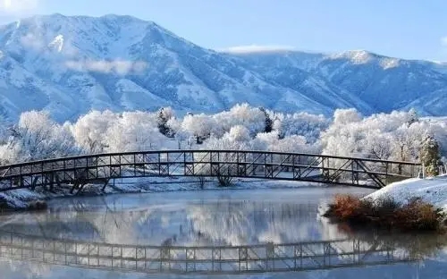 描写冬天的好句文案30字左右