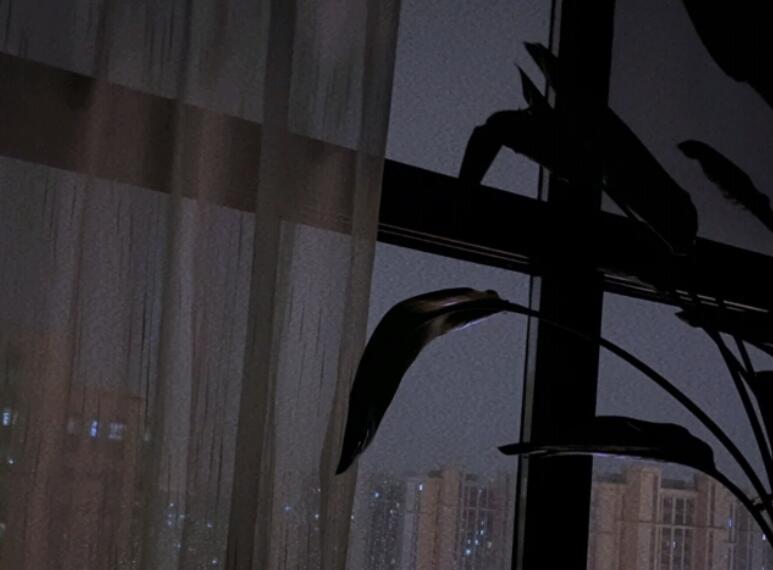 喜欢黑夜的说说文案心情