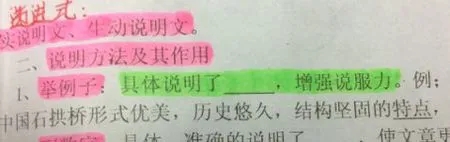 举例子的句子文案