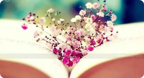 了解一个人的句子文案经典语录