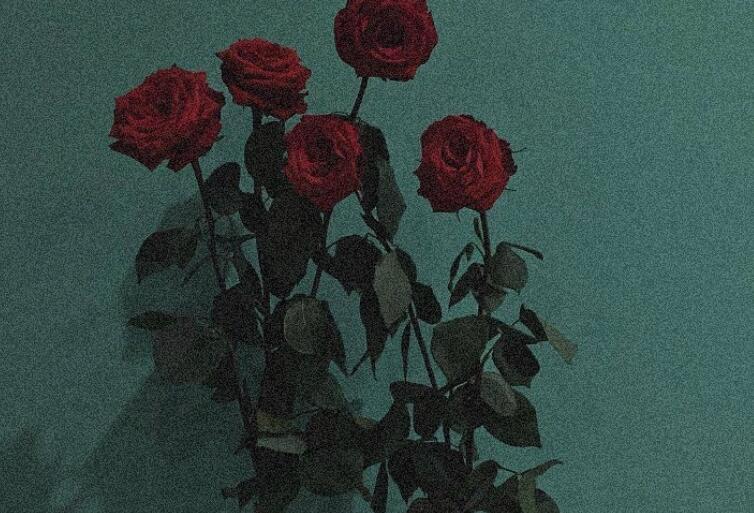 二月经典语录文案