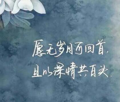 形容岁月静好的诗句文案