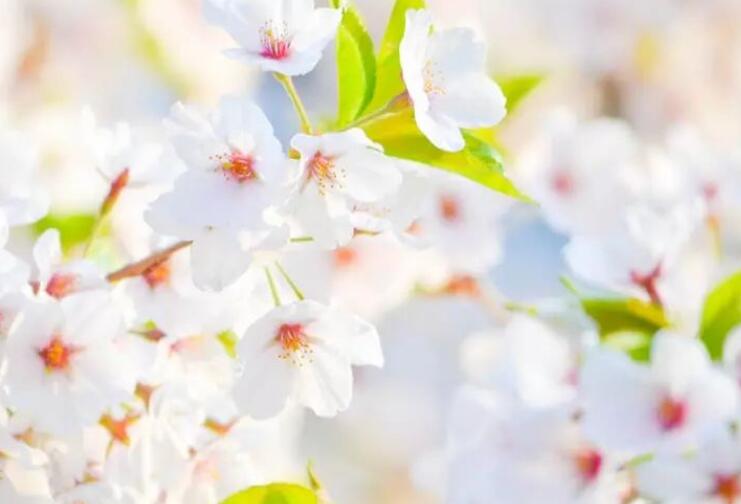 等人归来的优美诗词