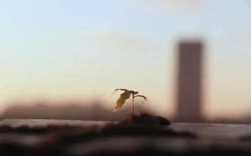 关于人生经验的句子文案