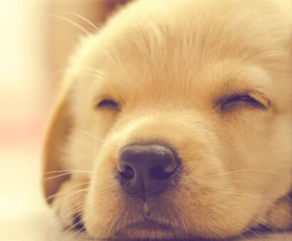 服装上新的句子文案