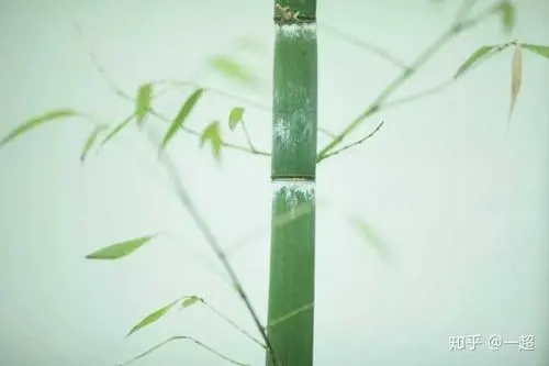 形容男人成熟的诗词