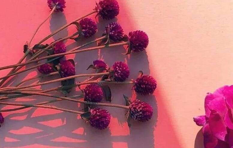 床上怎么说露骨情话文案