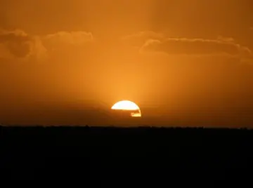 追逐太阳的句子文案