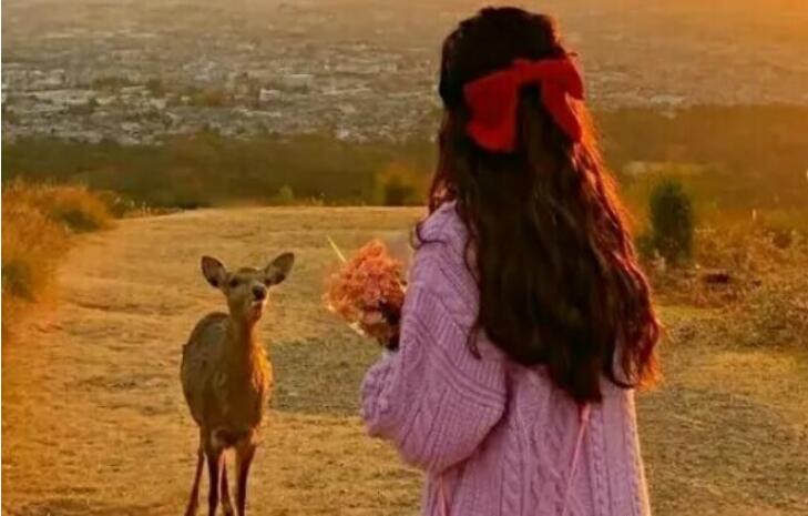 关于初见的文案