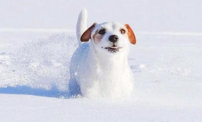 关于简单率真的句子文案