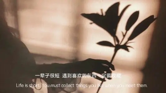 外国情感语录文案