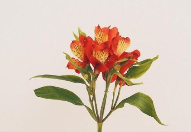 形容心情好的古风句子文案