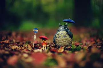 沉默的说说文案