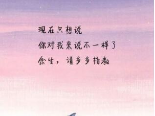 十字说说唯美句子文案