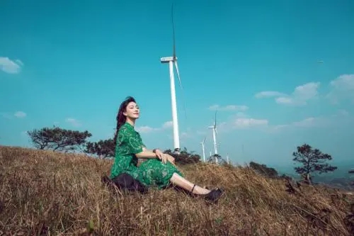 关于等风来的唯美句子文案