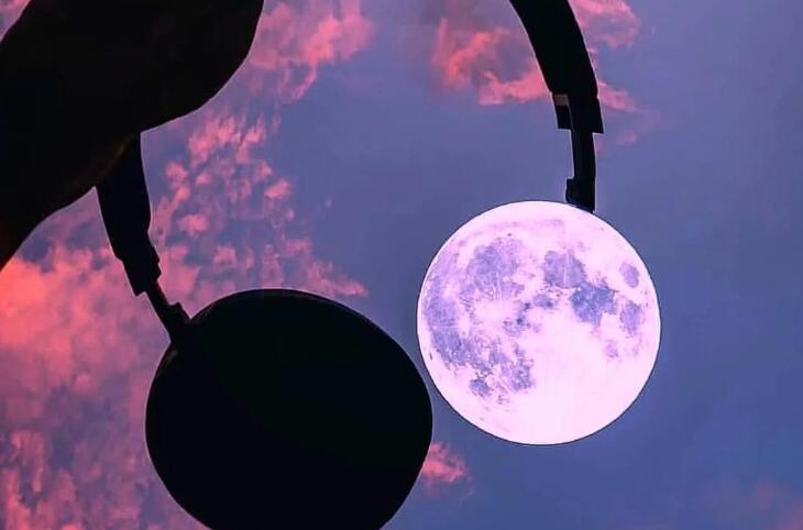 社会经典语录文案精选